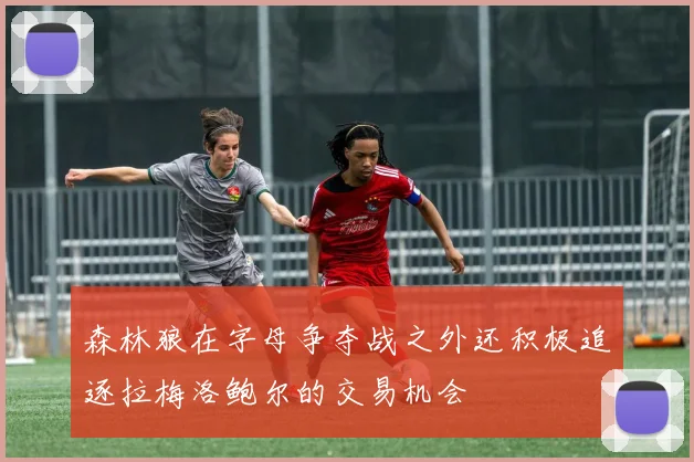 森林狼在字母争夺战之外还积极追逐拉梅洛鲍尔的交易机会