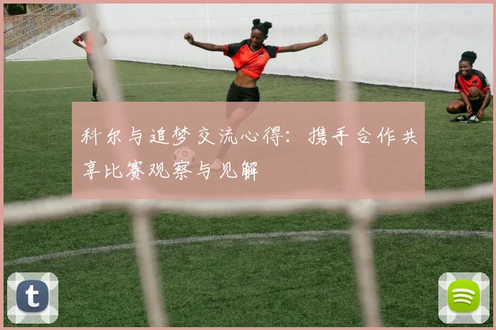 科尔与追梦交流心得：携手合作共享比赛观察与见解