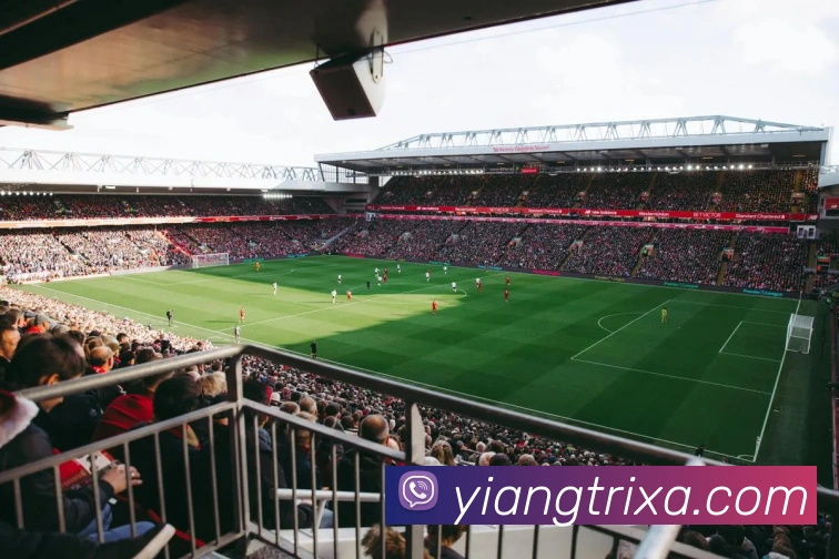 多媒体互动体验